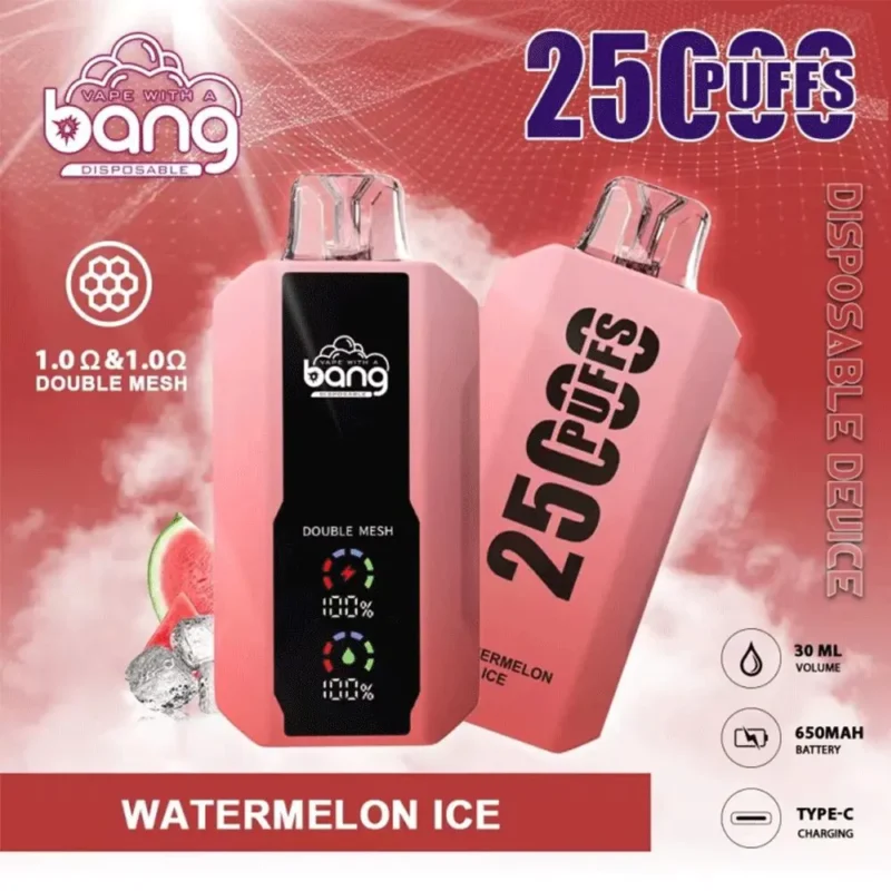 E Zigaretten Shop bang 25000 puffs-13