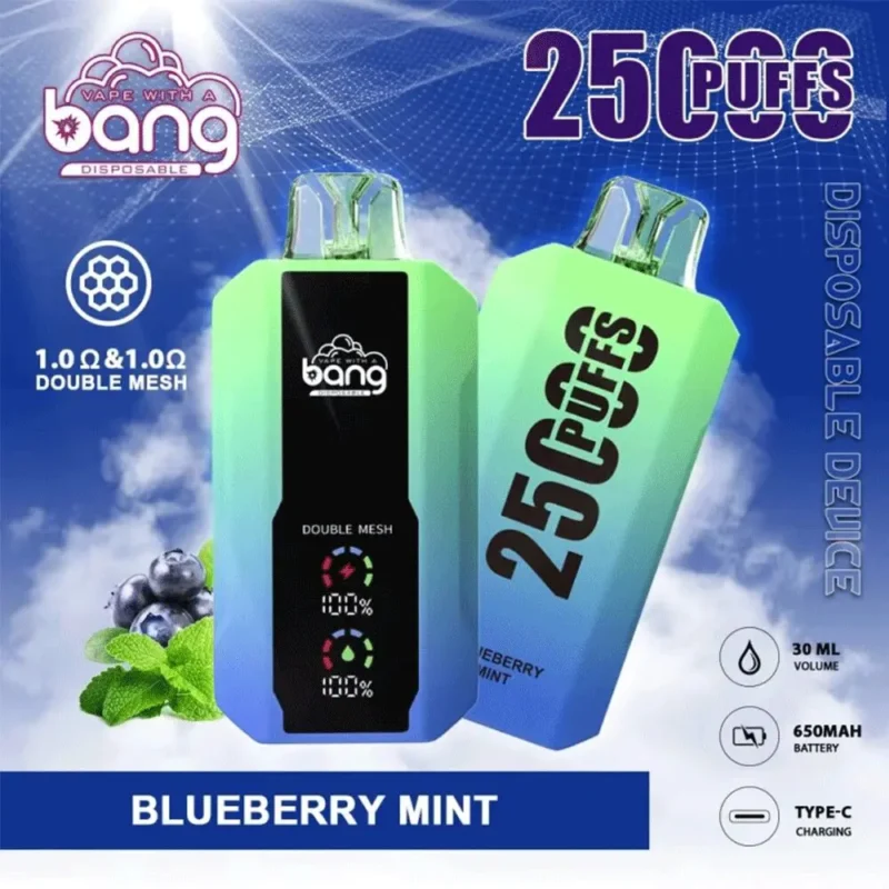 E Zigaretten Shop bang 25000 puffs-13