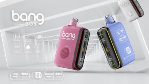 Bang Vape bang box 18000